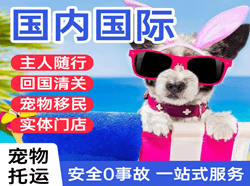 博乐阿拉山口航空物流国际宠物托运 【国